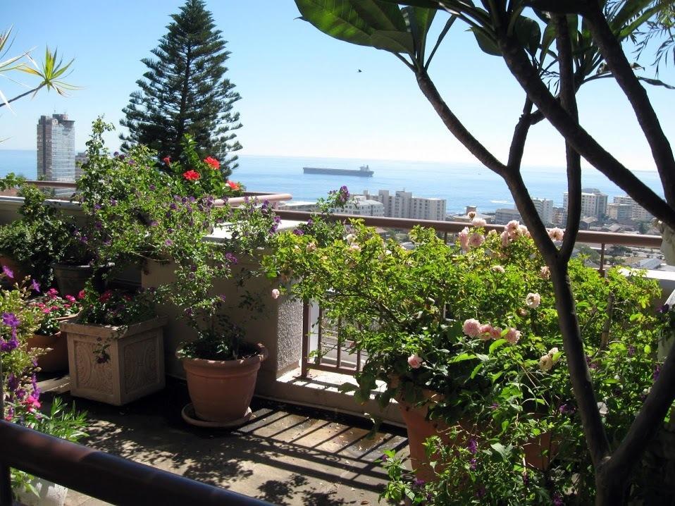 123 Ocean View Drive Apartment Kapstadt Exterior foto